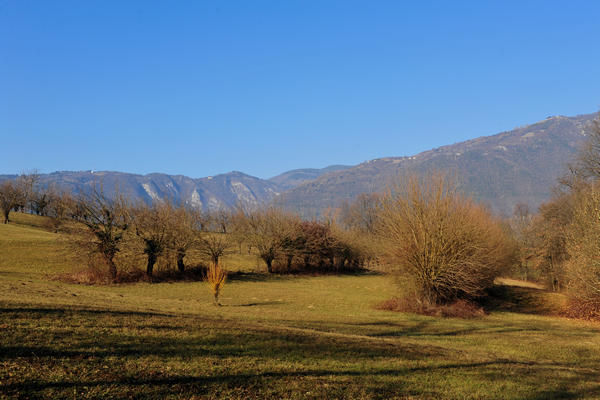 Sentieri Natura a Mussolente