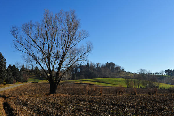 Sentieri Natura a Mussolente