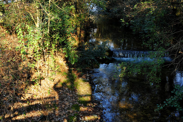 Sentieri Natura a Mussolente