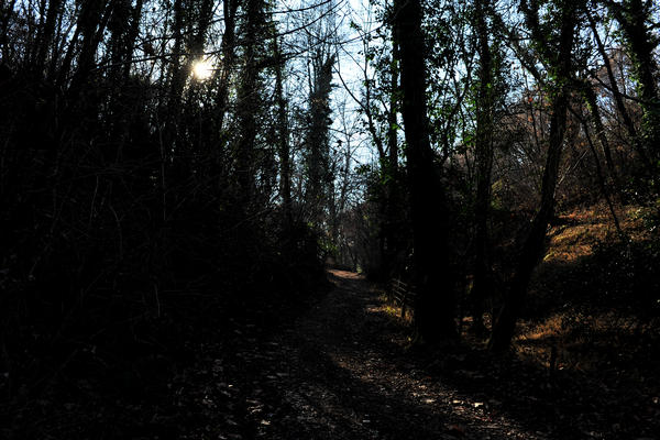 Sentieri Natura a Mussolente