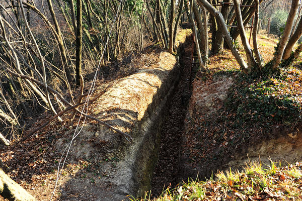 Sentieri Natura a Mussolente