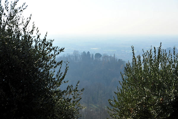 Sentieri Natura a Mussolente