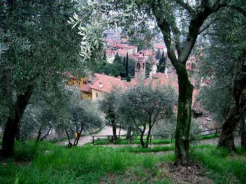 Marostica - sentiero dei Carmini al Castello Superiore