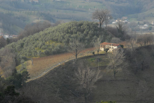 colline attorno a Marostica