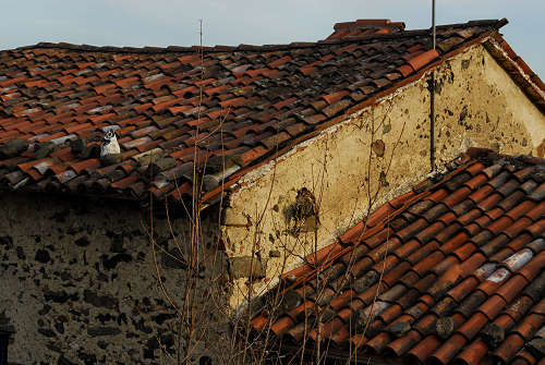 colline attorno a Marostica