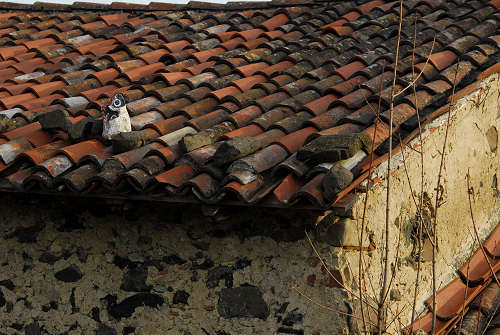 colline attorno a Marostica