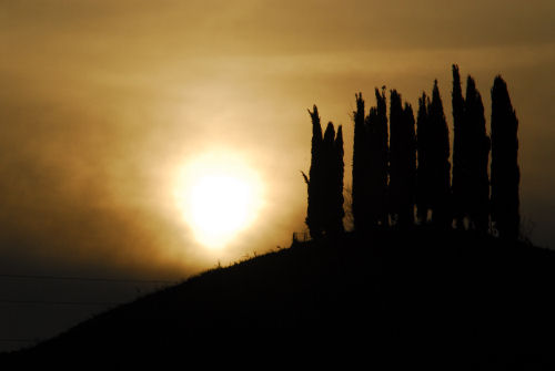 colline attorno a Marostica