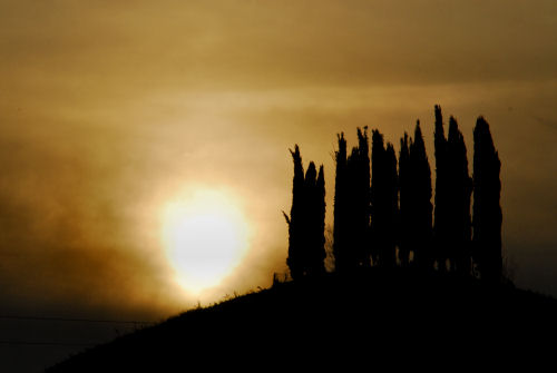 colline attorno a Marostica