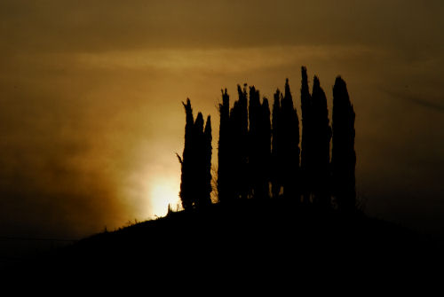 colline attorno a Marostica