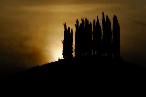 colline attorno a Marostica