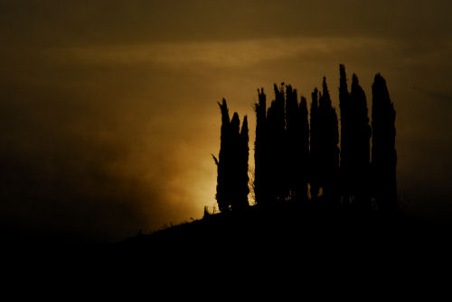 colline attorno a Marostica