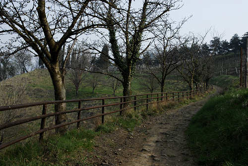 Colli di San Benedetto a Marostica