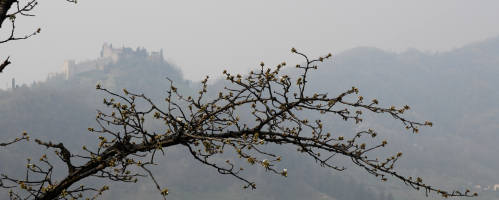 Colli di San Benedetto a Marostica