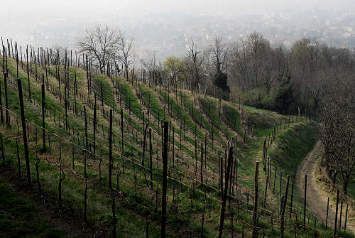 Colli di San Benedetto a Marostica