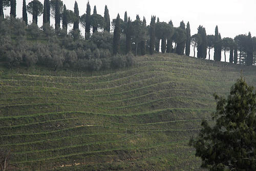 Colli di San Benedetto a Marostica