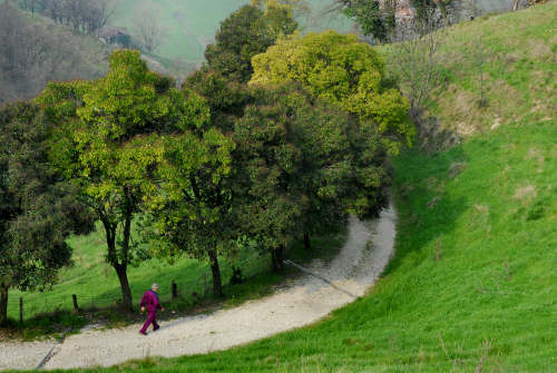 Colli di San Benedetto a Marostica