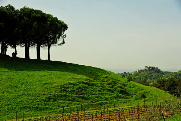 da Marostica a Sant'Agata per i colli di San Benedetto