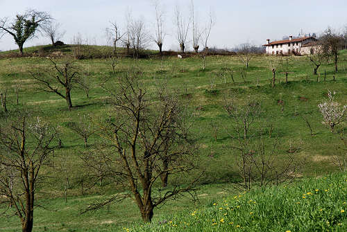 Marostica, Vallonara, Capitelli, Crosara, Tortima