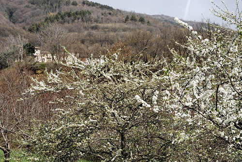 Marostica, Vallonara, Capitelli, Crosara, Tortima