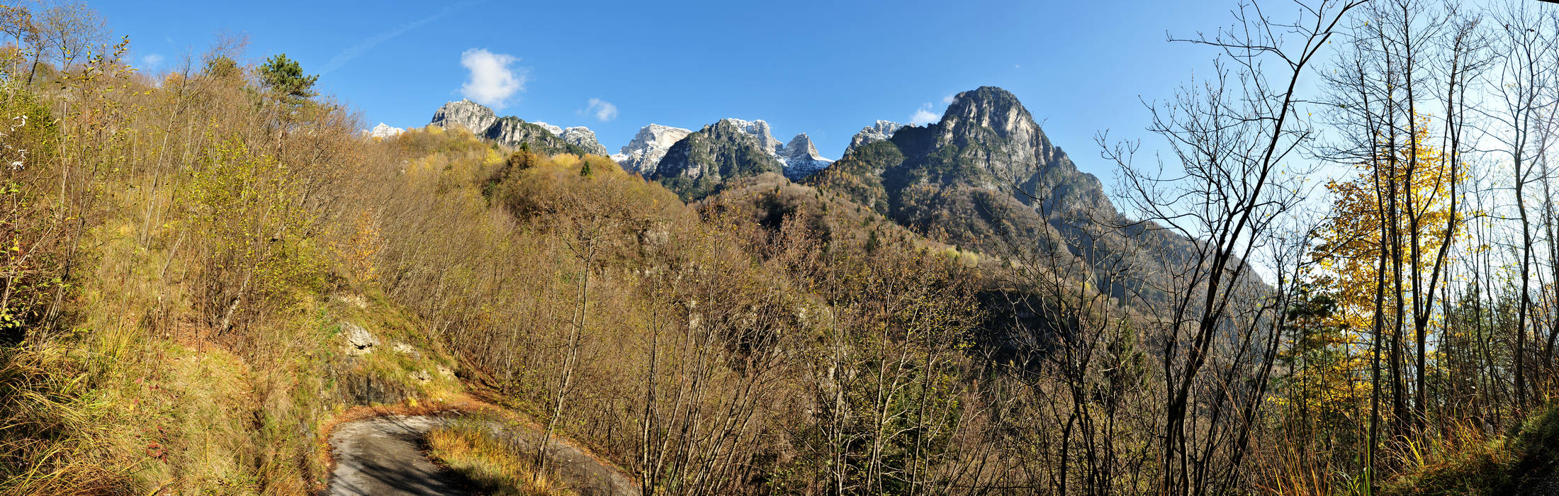 Le Gene nella Valle del Mis, Parco Nazionale Dolomiti Bellunesi