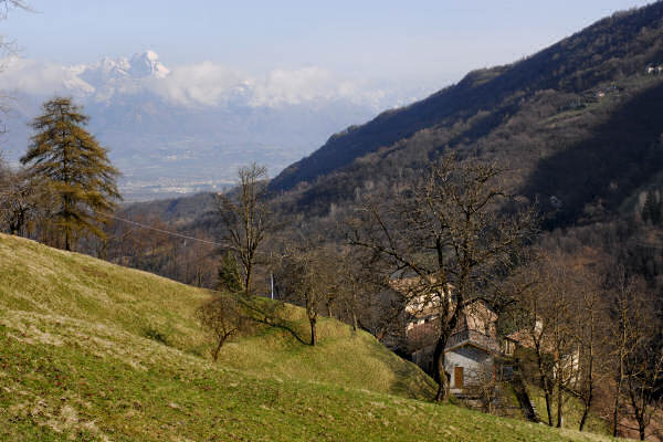 Mel, Cordellon, monte Foral