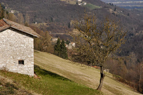 Mel, Cordellon, monte Foral