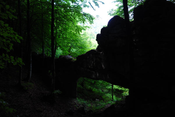 Boz Canidi Val d'Arc