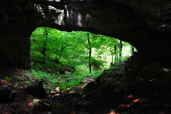 Boz Canidi Val d'Arc