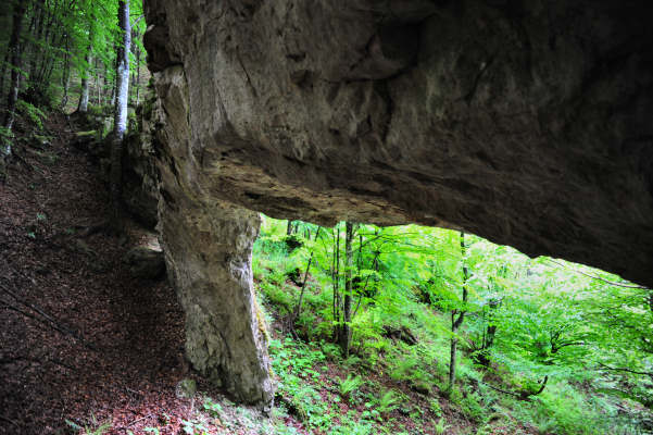 Boz Canidi Val d'Arc