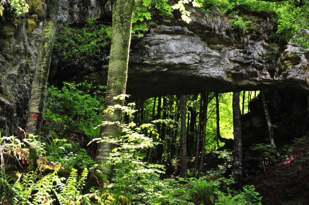 Boz Canidi Val d'Arc