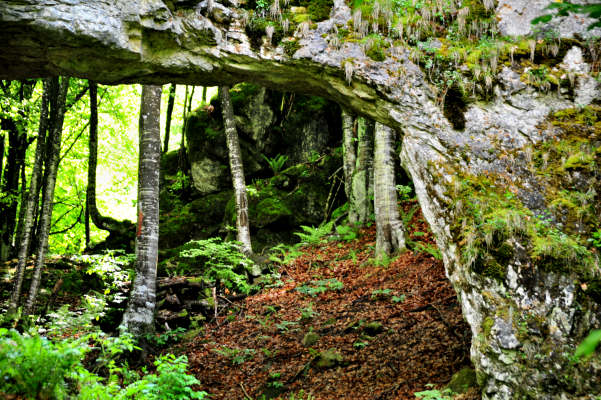 Boz Canidi Val d'Arc