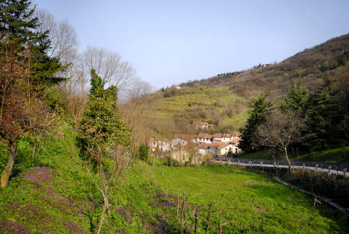 Brendola - Monte Comunale e Rocca dei Vescovi