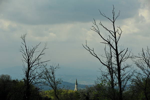 passeggiata nei Colli Berici - Castegnero, Nanto, Covoli di Trene, Sermondi, Covolo Murato di Castegnero