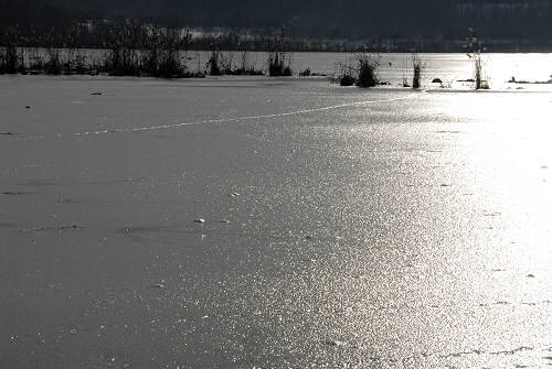 foto invernali al lago di Fimon, nei Colli Berici