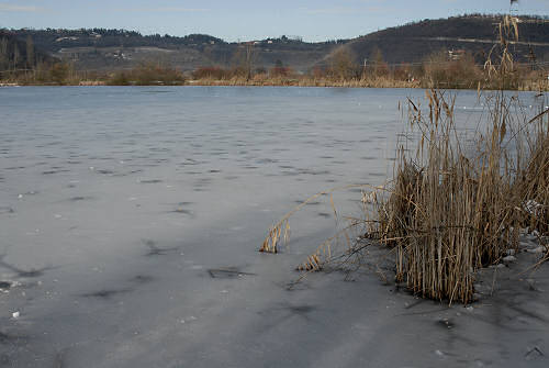 foto invernali al lago di Fimon, nei Colli Berici