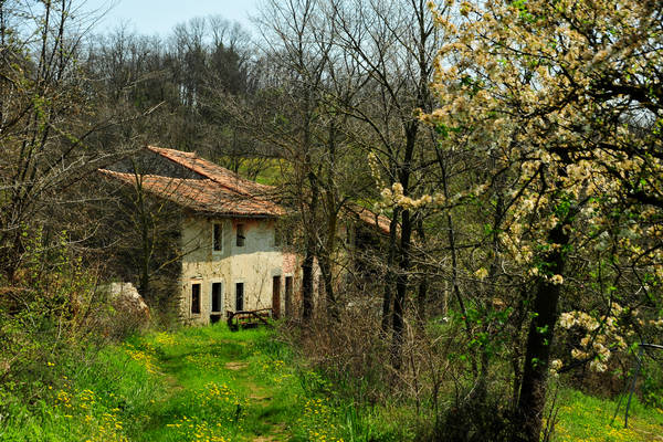 Orgiano, Botteghino-Monticello, Valle dei Mulini, Alonte