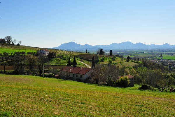 Sossano, Campolongo Val Liona, monte Cistorello, Riveselle Toara