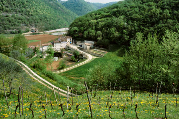 Calto - Zovencedo - Val Liona - Monti Berici - Vicenza