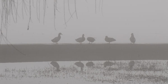 Lago di Fimon nei Colli Berici