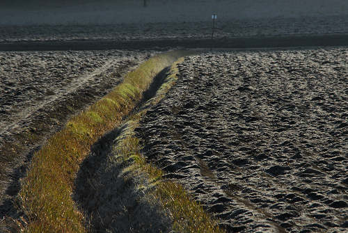 luci d'inverno al lago di Fimon, nei colli Berici