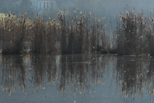luci d'inverno al lago di Fimon, nei colli Berici