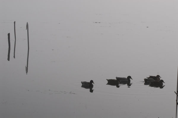 Lago di Fimon - Monti Berici