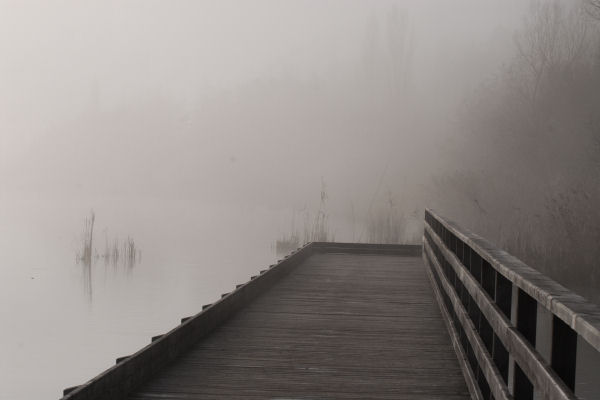 Lago di Fimon - Monti Berici