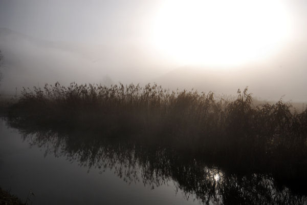 Lago di Fimon - Monti Berici