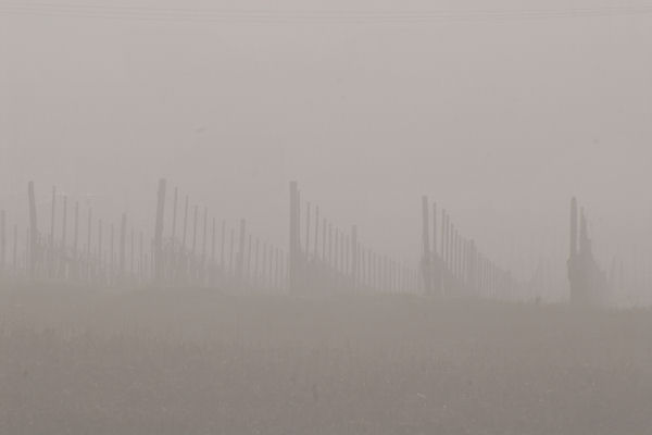Lago di Fimon - Monti Berici