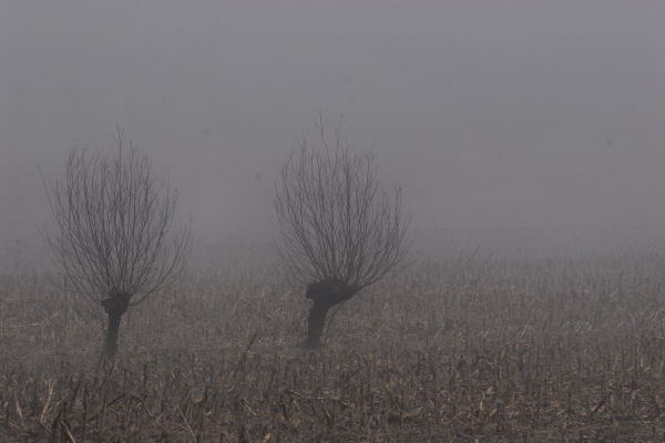 Lago di Fimon - Monti Berici