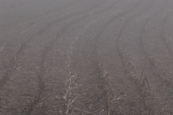 Lago di Fimon - Monti Berici