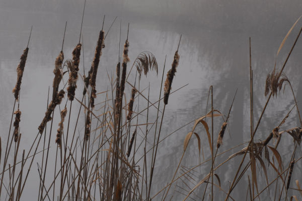 Lago di Fimon - Monti Berici