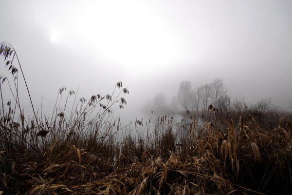 Lago di Fimon - Monti Berici
