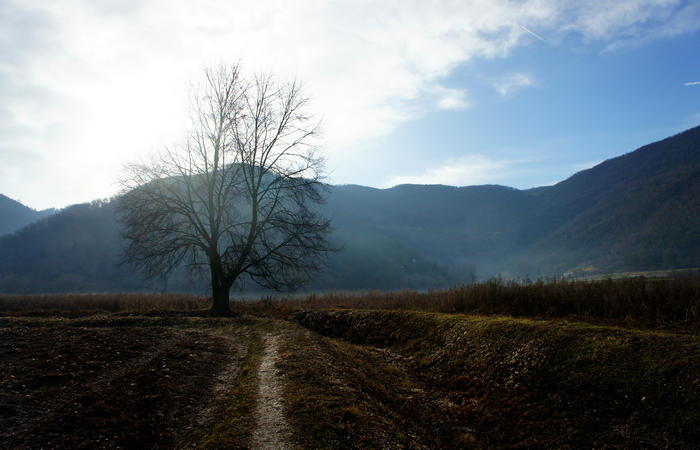 Nordic Walking al Lago di Fimon, Arcugnano Colli Berici Vicenza